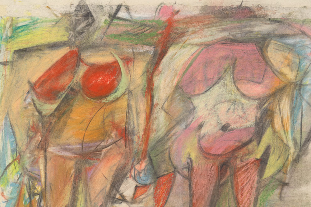 What Willem de Kooning saw in the female figure