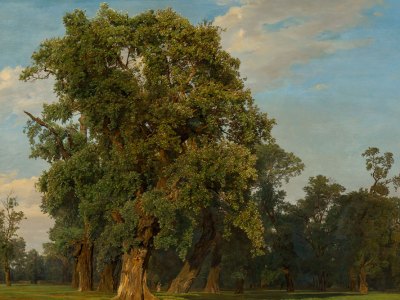 Austrian landscape painting from the ground up