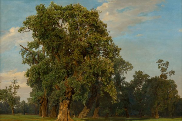 Austrian landscape painting from the ground up
