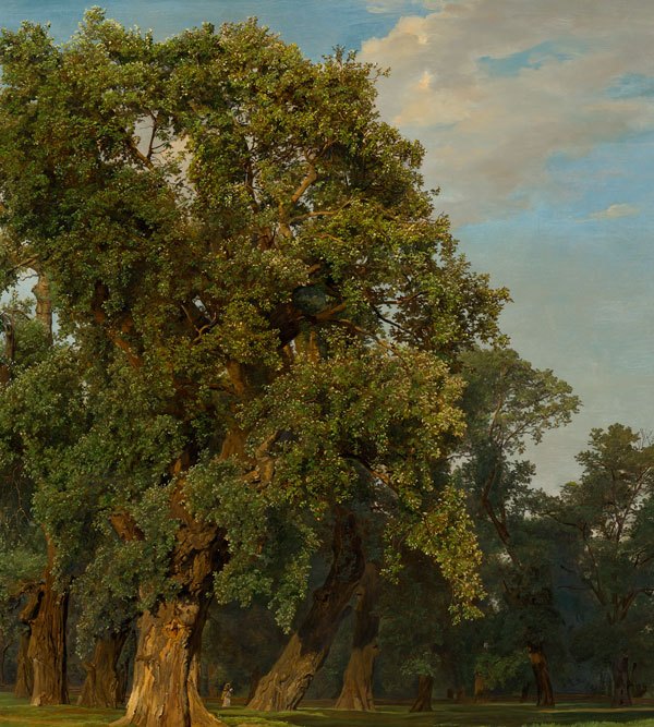 Austrian landscape painting from the ground up