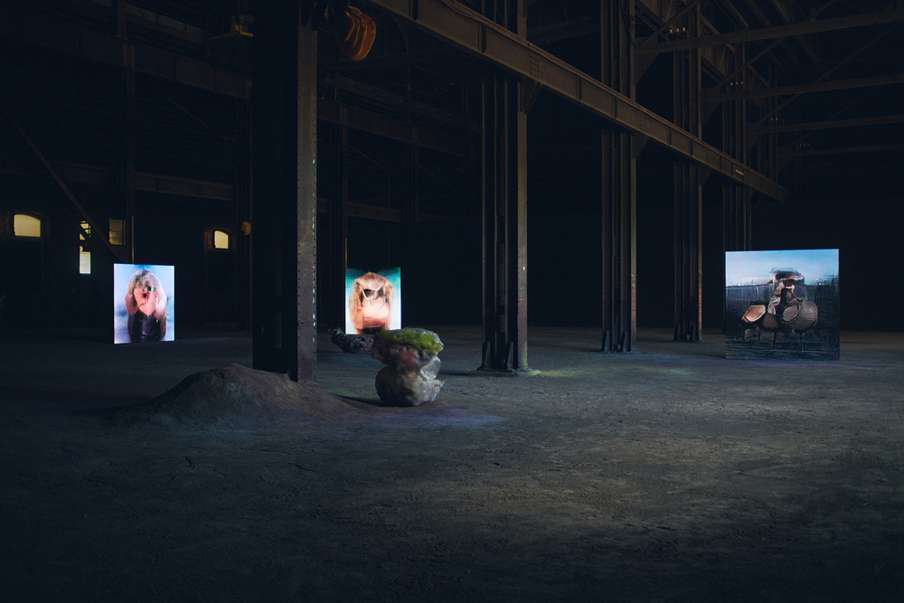Pierre Huyghe: UUmwelt