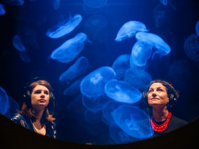 How to turn the art world to jelly