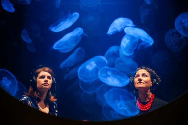 How to turn the art world to jelly