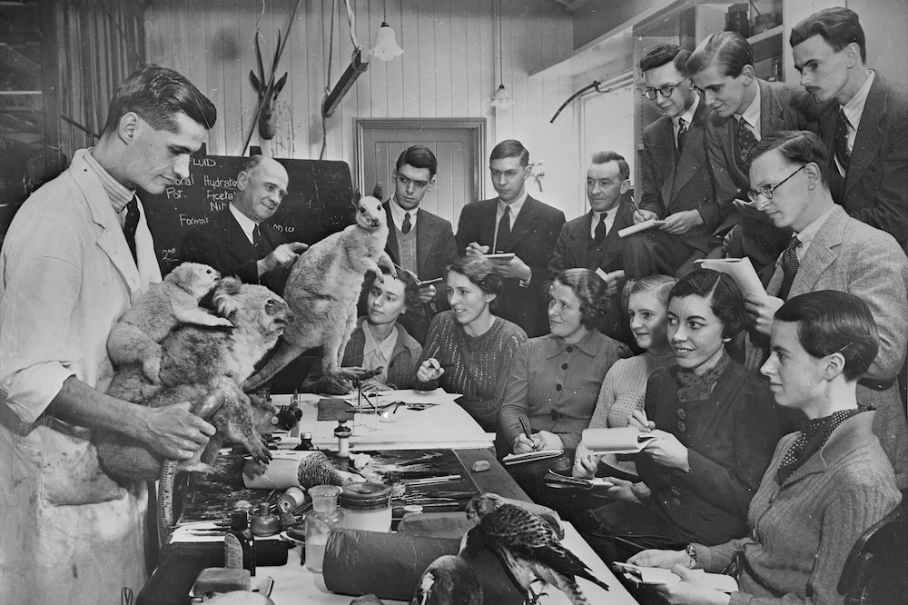 How Britain’s museums adapted to the end of empire