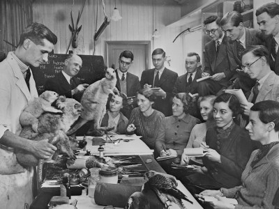 How Britain’s museums adapted to the end of empire
