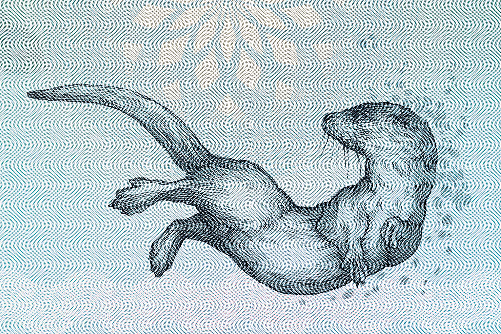 Beyond Churchill: the undervalued art of banknotes