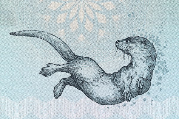 Beyond Churchill: the undervalued art of banknotes